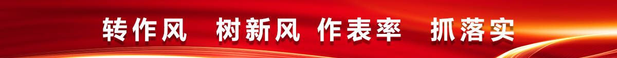 转作风  树新风 作表率  抓落实